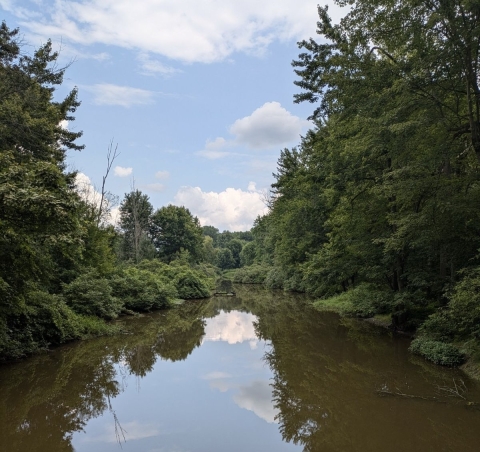 Photo of Oak Orchard Creek that includes brown water surrounded by trees and a cloudy blue sky.