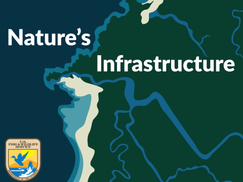 A simple of map with FWS shield and text saying Nature’s Infrastructure