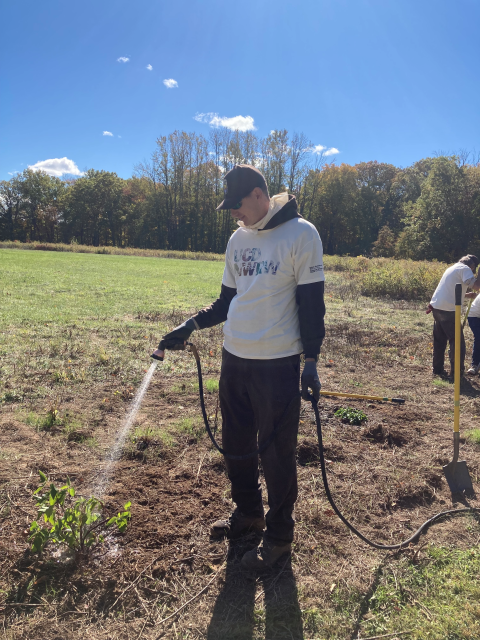 Refuge veteran watering native plants at Great Swamp NWR