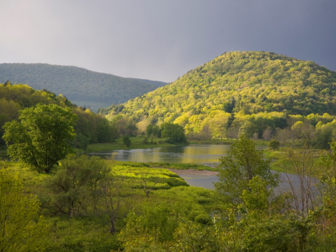 A landscape with a wetland and rolling green hills