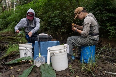 A service intern and USFWS employee sit on overturned buckets as they measure fish and record data. 