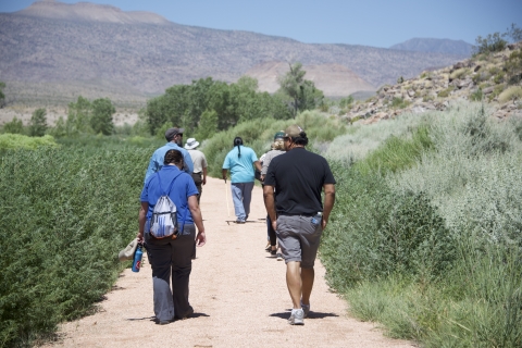 People walk away from camera along a trail lined by shrubs at Pahranagat National Wildlife Refuge in Nevada.