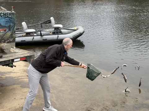 stocking fish