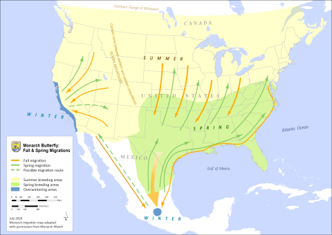 Map displaying the North American monarch butterfly range. There are two monarch butterfly populations in North America - eastern (east of the Rocky Mountains) and western (west of the Rocky Mountains). The eastern population overwinters in central Mexico and breeds throughout the United States and southern Canada. The western population overwinters along the California coast and breeds across the western states and southern Canada.