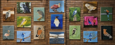 An art exhibit of 17 acrylic paintings of various birds hung on brick wall.