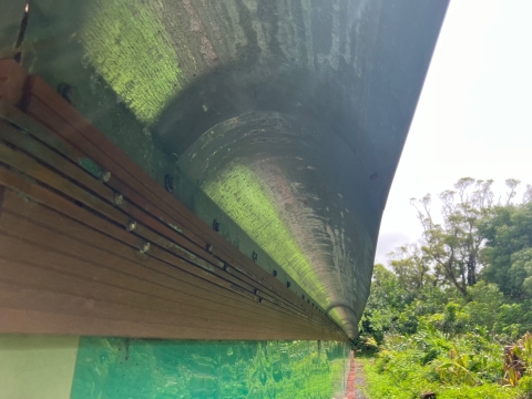 This picture shows the metalic side of the exclosure for Oahu tree snails. There's a curved metal overhang and green and wooden siding.