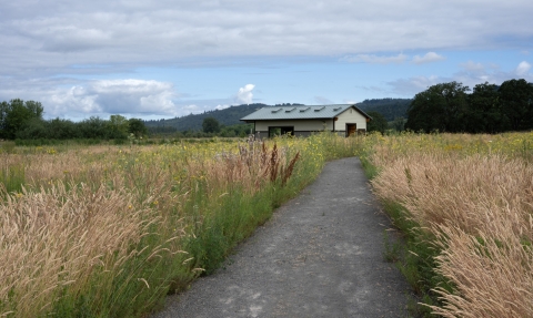 Gravel trail lined on both sides with tall grasses. Trail leads to the David B. Marshall Outdoor Classroom at the Ankeny Hill Nature Center