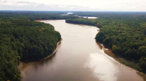 Aerial photo of a wide, forested river