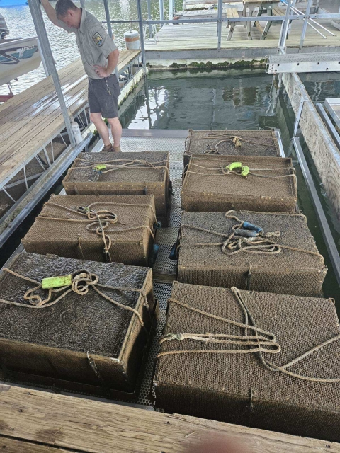 Mussel cages on one of the new boat lifts.