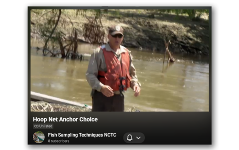 Use of different anchor types (in current)