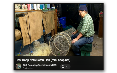 How Hoop Nets Catch Fish
