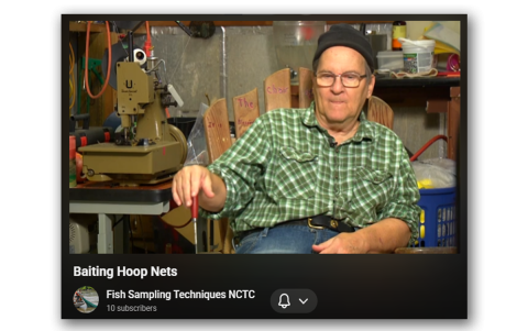 Baiting Hoop Nets