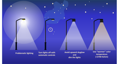 The graphic shows four street lights in total. The light on the far left illustrates the problem with un necessary nighttime lighting, and the other three illustrate the possible solutions. (A full description can be found in the caption)
