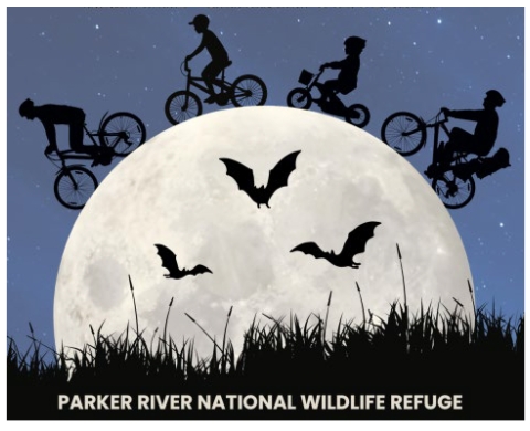 Graphic of a night scene with four shadow bike riders, three bats, the moon, and grasses.
