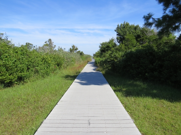 View of boardwalk hiking trail at Back Bay NWR