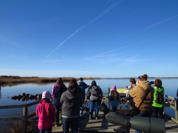 Group of visitors bird watching on a viewing platform at Back Bay NWR