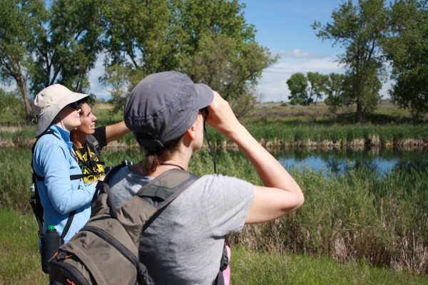 Three people birdwatching at the edge of the lake 