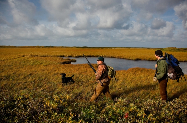 Hunting on the marsh