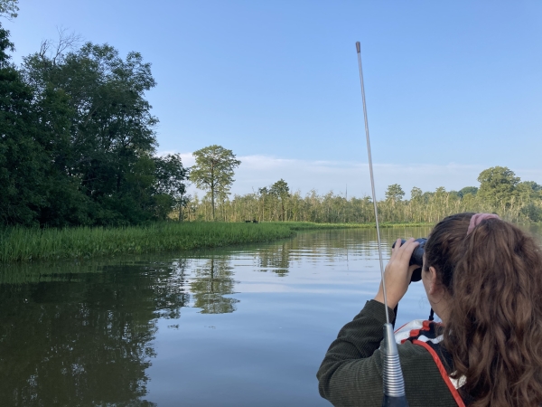 Wildlife watching over river through binoculars