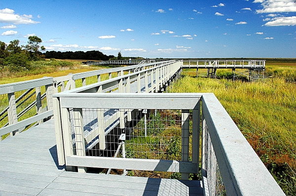 Leeds Eco-Trail at Edwin B. Forsythe NWR