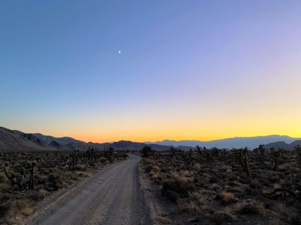 Dirt road passing through the desert