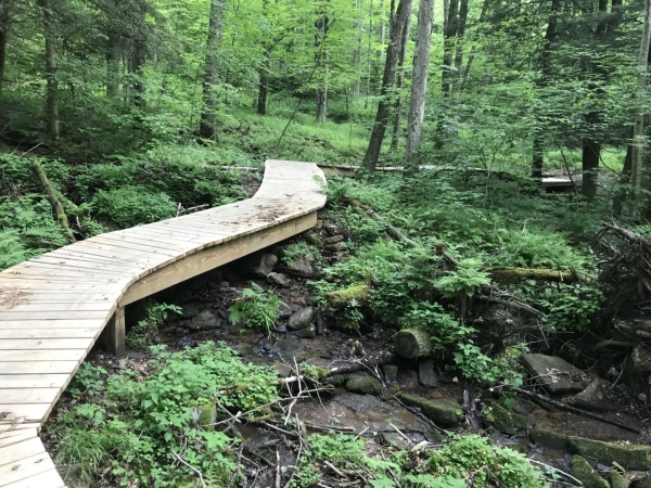 Boardwalk on Blackwater View Trail