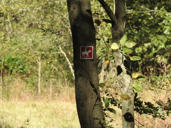 An image of a horseback riding sign