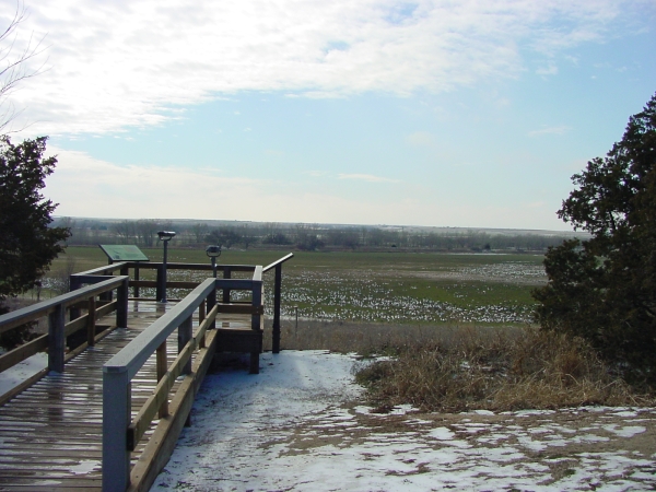 Headquarters overlook with field of geese in the background.