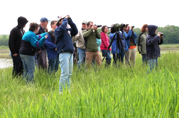 Visitors looking at far away eagle nest