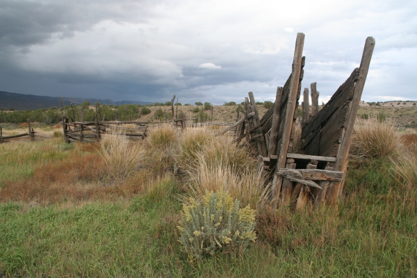 The Beaver Creek Trail passes the historic McKnight homestead at Browns Park NWR. 