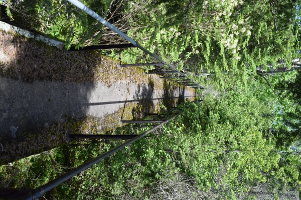 Lighthouse Island Bridge.