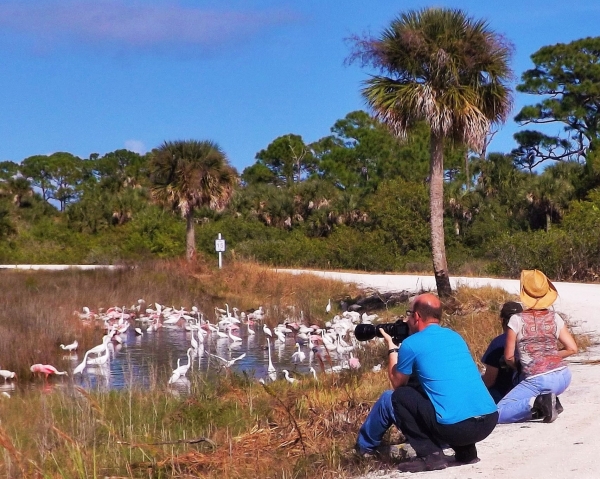 Photography At Merritt Island National Wildlife Refuge | FWS.gov