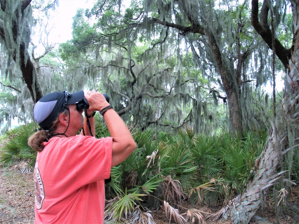 Visitor birdwatching with binoculars