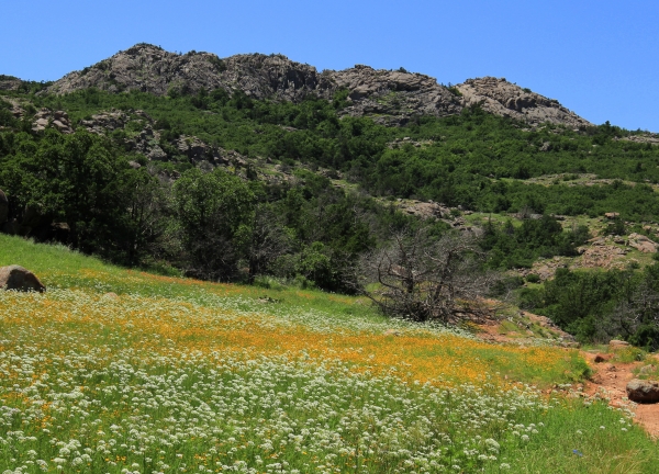 Charon's Garden Wilderness Area