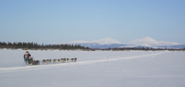 a dog mushing team pulls their sled and musher along a snowy trail with trees and hills in the distance