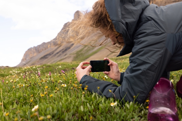 A woman crouches on the tundra to take a photo of flowers with a smartphone.