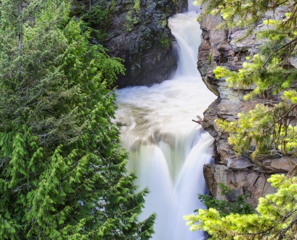 Myrtle water fall cascading down rock canyon with green trees along banks