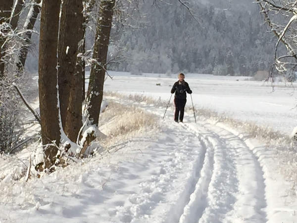 Woman cross-country skiing on trail