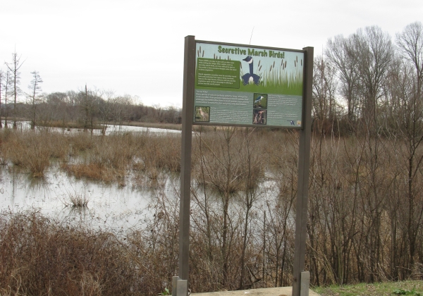 Blue Goose Blvd interpretive sign