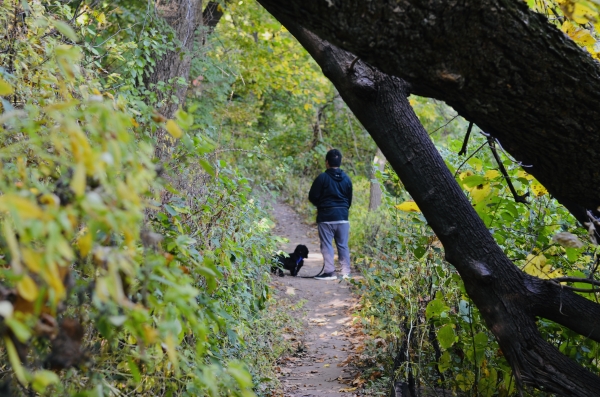 Person with a leashed dog stand on a trail