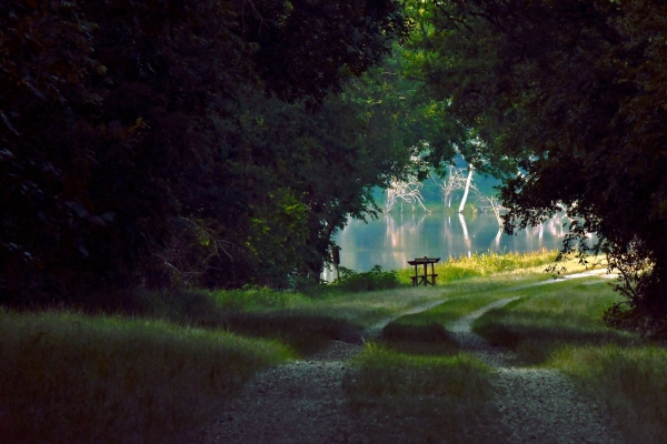 Meadow Pond Trail