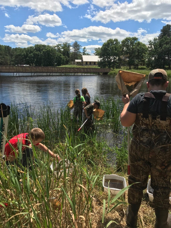 Students sampling aquatic insects near Necedah's visitor center