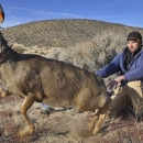 a man releasing a deer 