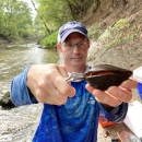 A biologist holds open a freshwater mussel