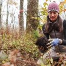 Biologist kneeling on the ground in a forest, holding a young tree with root ball that she's about to plant