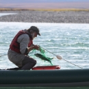 a man bringing in a fish in a net