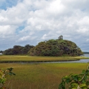 Wetland at Mashpee NWR