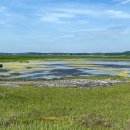a vast wetland with water moving through marsh grasses