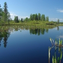 Silky smooth deep blue water surrounded by green trees and vegetation. The trees and vegetation are reflected on the water.