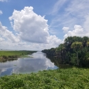 Stick Marsh Critical Wildlife Area